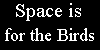 Space Is For The Birds
